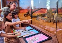 Best Things To Do In Cairns