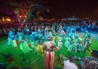 Cairns Indigenous Art Fair