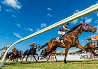 Cairns Jockey Club