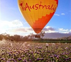 Celebrate The Chinese New Year Hot Air Balloon Fest In Cairns 1 Celebrate The Chinese New Year Hot Air Balloon Fest In Cairns 1