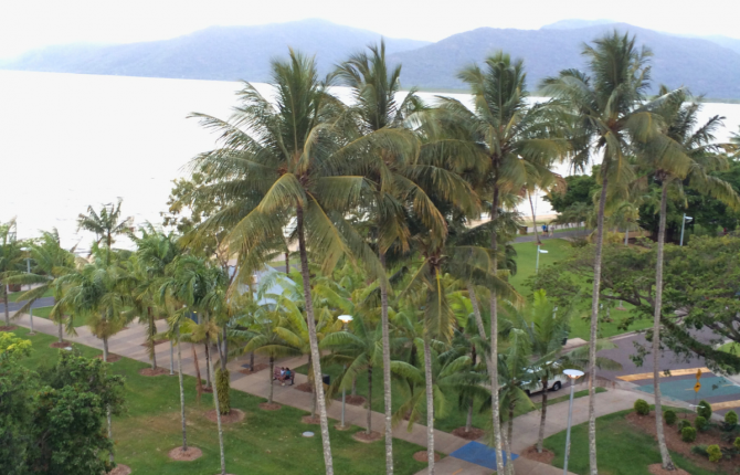 Coral Towers 1 Bedroom Ocean View 4