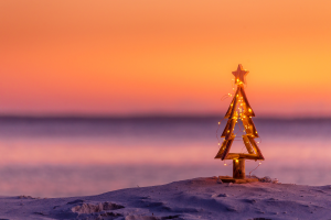 Coral Towers December 2023 Blog Photo From Canva Coral Towers December 2023 Blog Photo From Canva