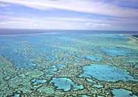 Great Barrier Reef Great Barrier Reef