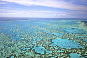 Great Barrier Reef