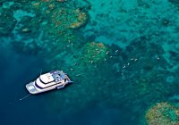 Great Barrier Reef Reef Experience Cairns Australia Day Tour Snorkel Scuba Trips