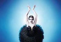 Queensland Ballet S Swan Lake Queensland Ballet S Swan Lake