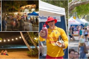 Reef Feast V1 Reef Feast V1