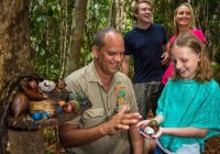 Things To Do In Cairns