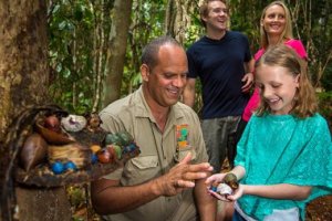 Things To Do In Cairns