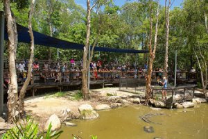 Tourist Attractions Around Cairns