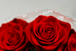 Valentines Day 2 Valentines Day 2