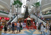 Whats On In Cairns 1